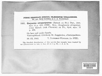 Image Associated With the Occurence